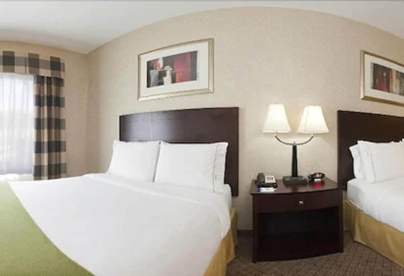 Holiday Inn Express Hotel & Suites Anderson, An Ihg