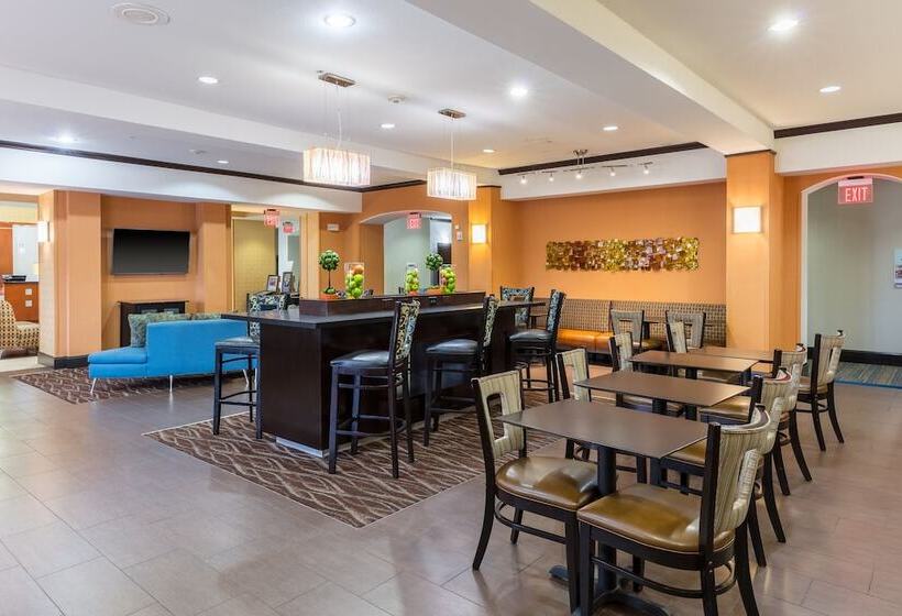 Holiday Inn Express Hotel & Suites Dallas West, An Ihg