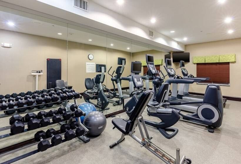 Holiday Inn Express Hotel & Suites Dallas West, An Ihg