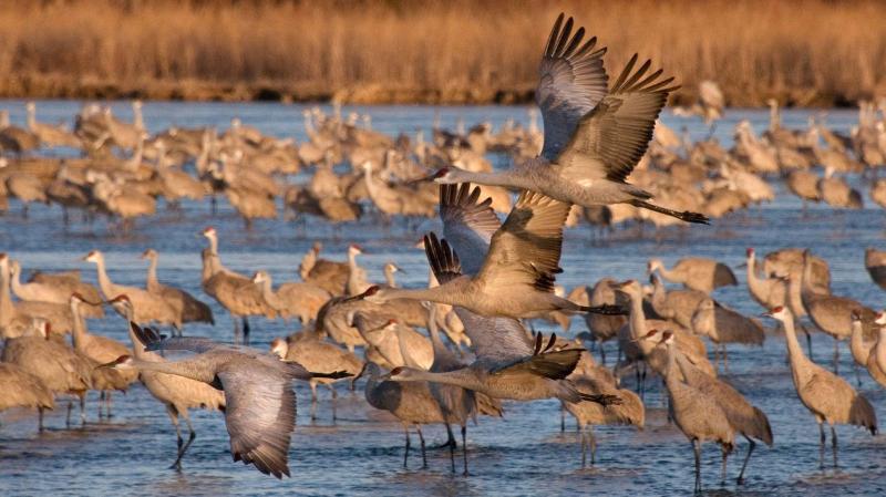 酒店 Holiday Inn Express Kearney, An Ihg