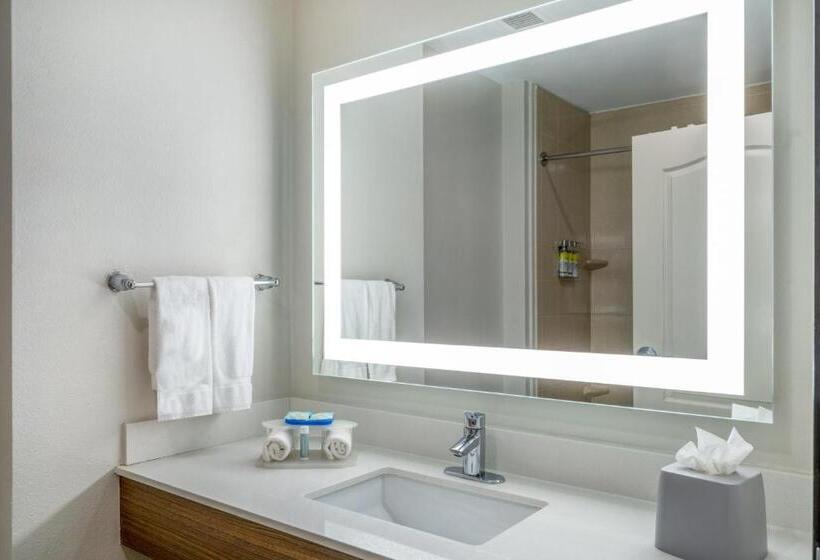 Отель Holiday Inn Express & Suites Dallas East Fair Park, An Ihg