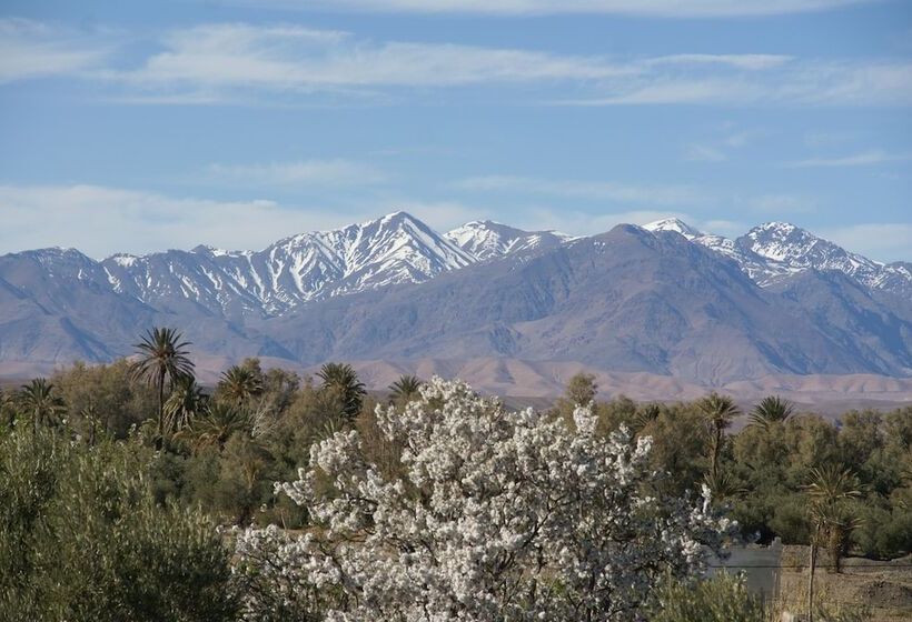 فندق Kasbah Ait Ben Damiette