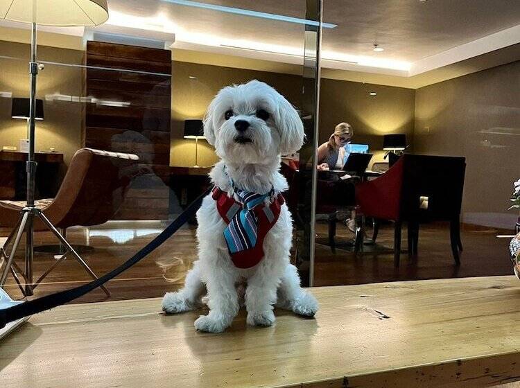 هتل Las Suites Campos Eliseos