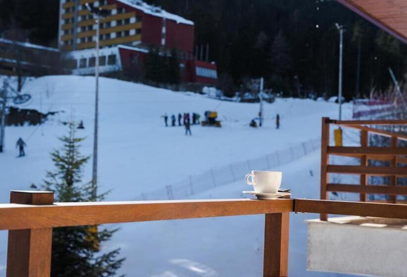 בית מלון כפרי Musala