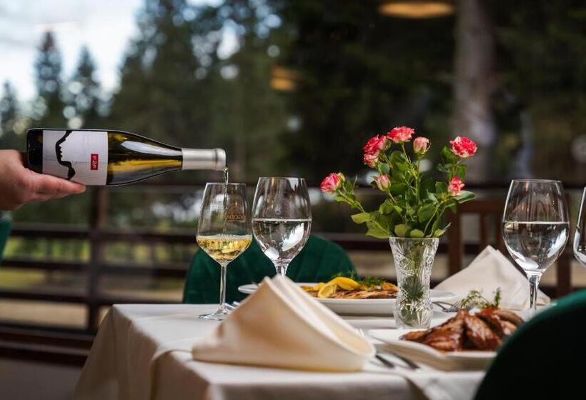 בית מלון כפרי Musala