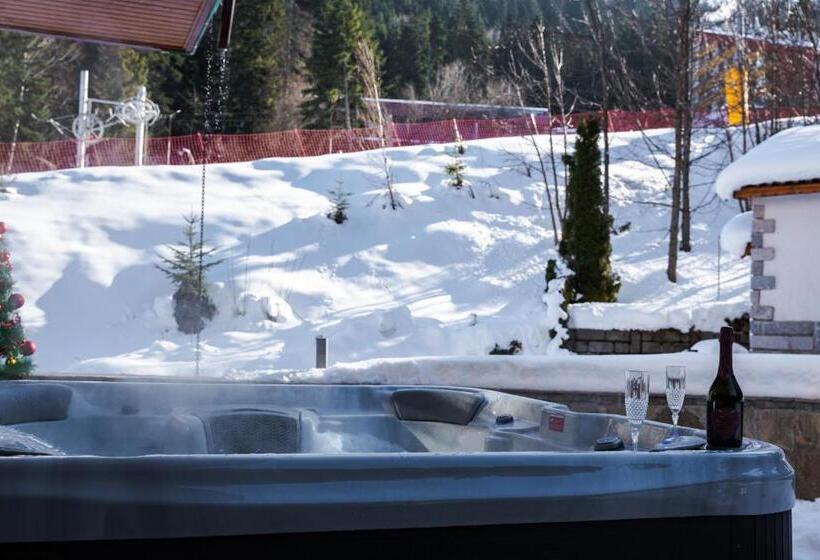 בית מלון כפרי Musala