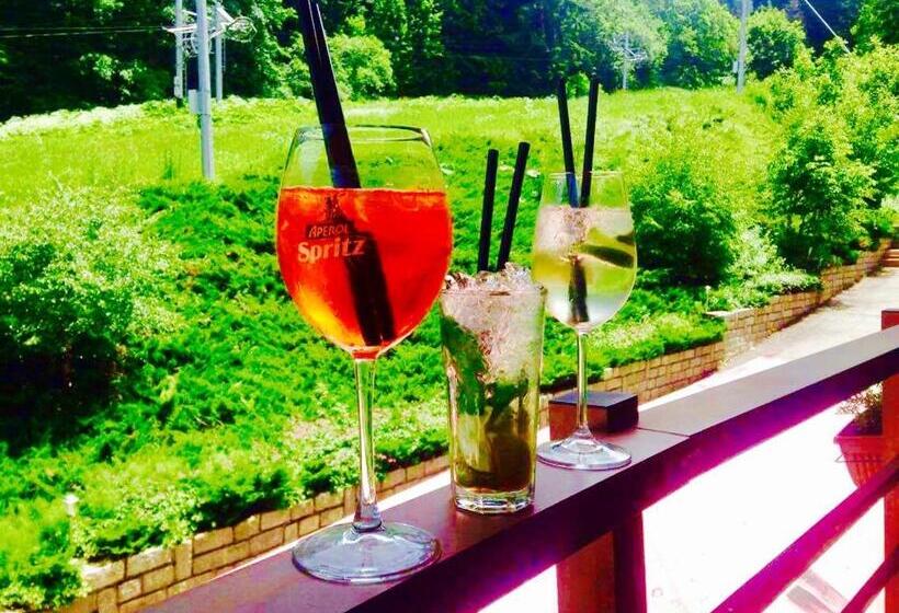 בית מלון כפרי Musala