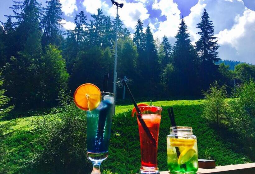 בית מלון כפרי Musala