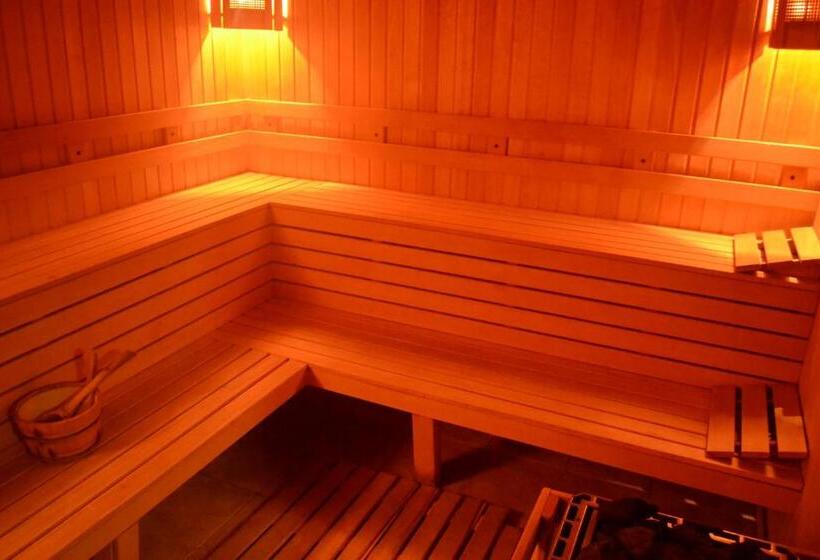 בית מלון כפרי Musala