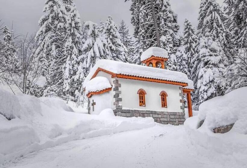 בית מלון כפרי Musala