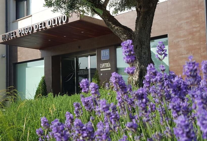 ホテル Pago Del Olivo