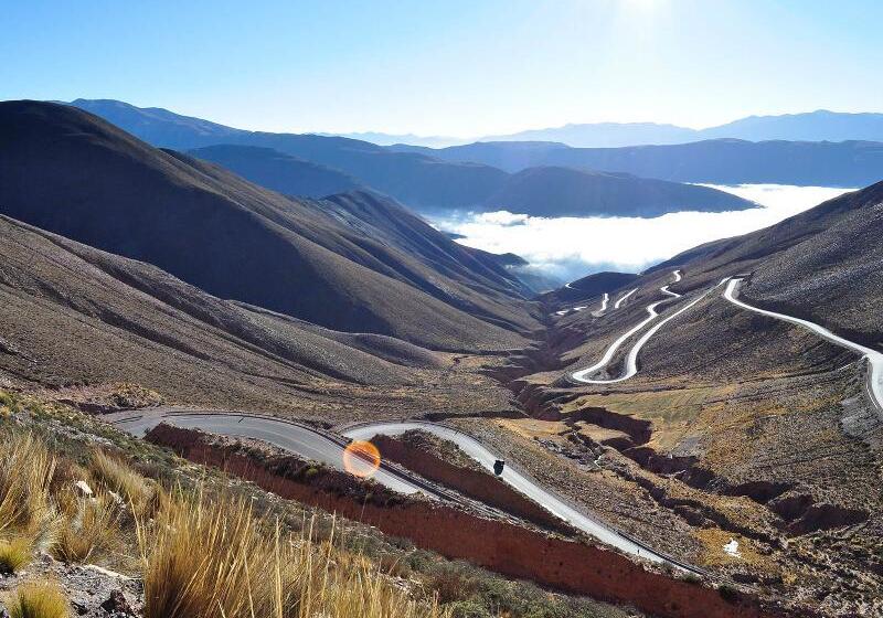 Отель Patio Alto