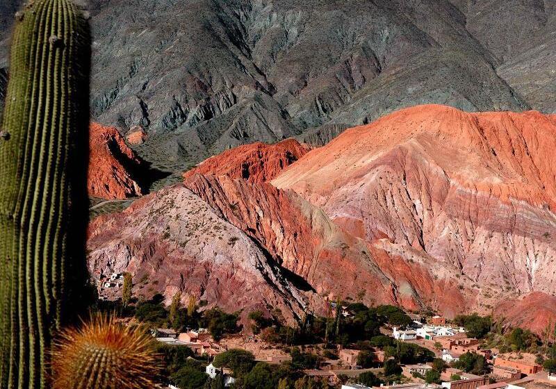 Отель Patio Alto