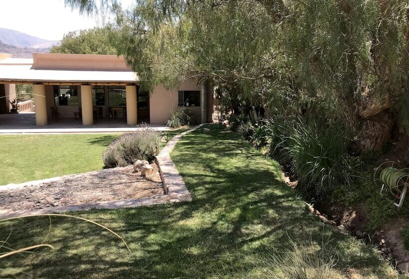 Отель Patio Alto