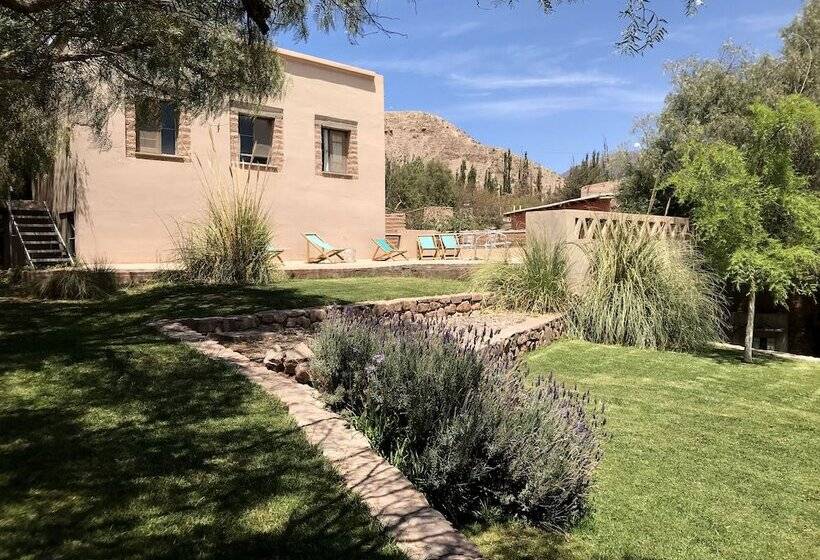 Отель Patio Alto