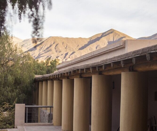 Отель Patio Alto