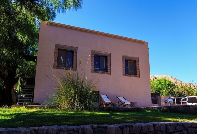 Отель Patio Alto