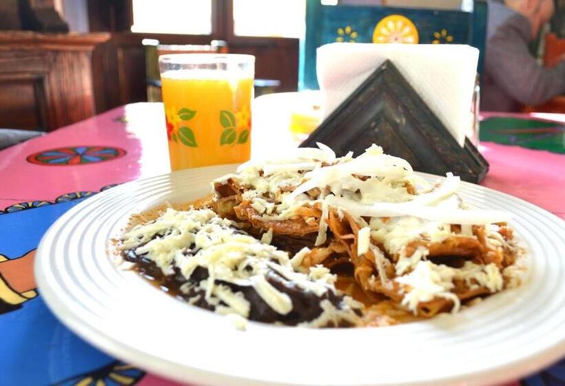 호텔 Posada Del Cafeto