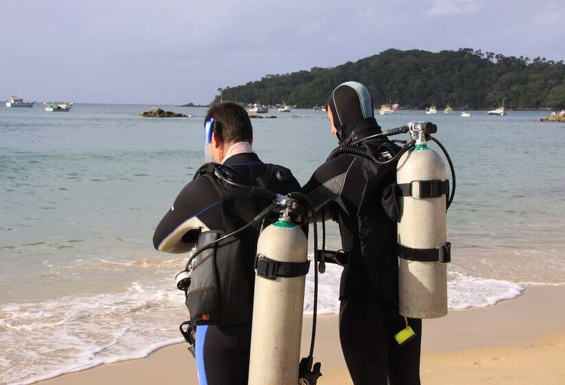 בית מלון כפרי Pousada Palmeiras