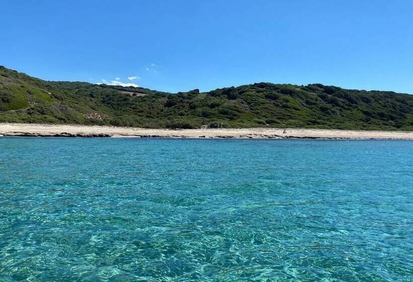 ホテル Mimose Beach Village