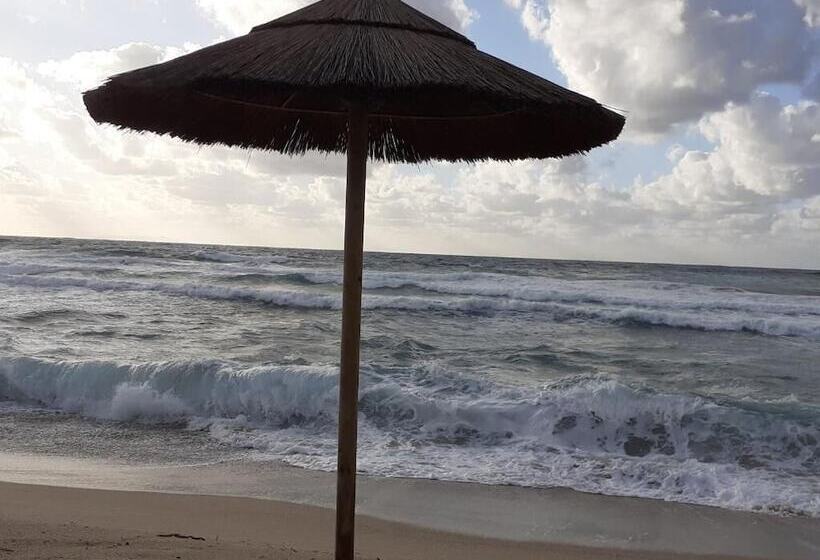 ホテル Mimose Beach Village