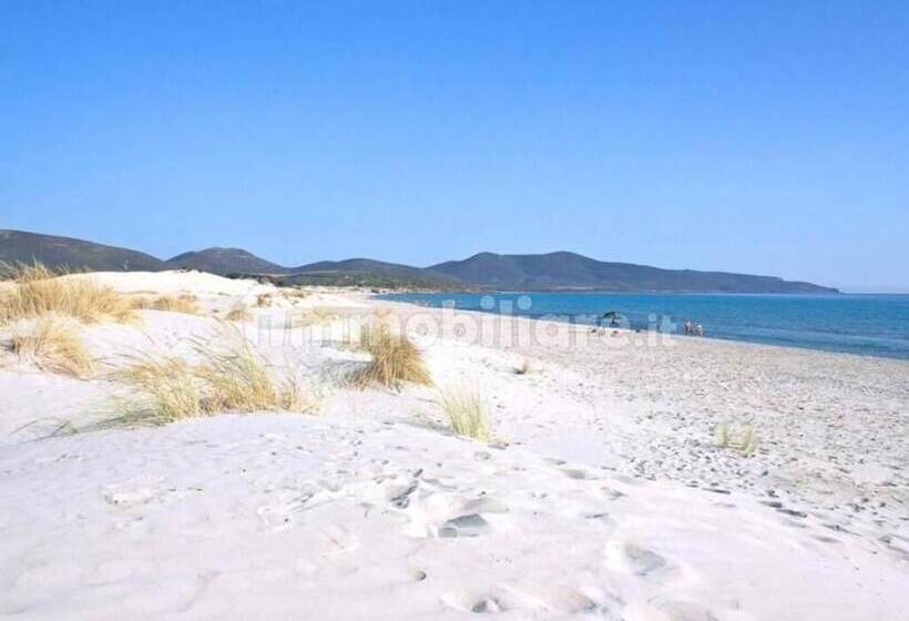 ホテル Mimose Beach Village