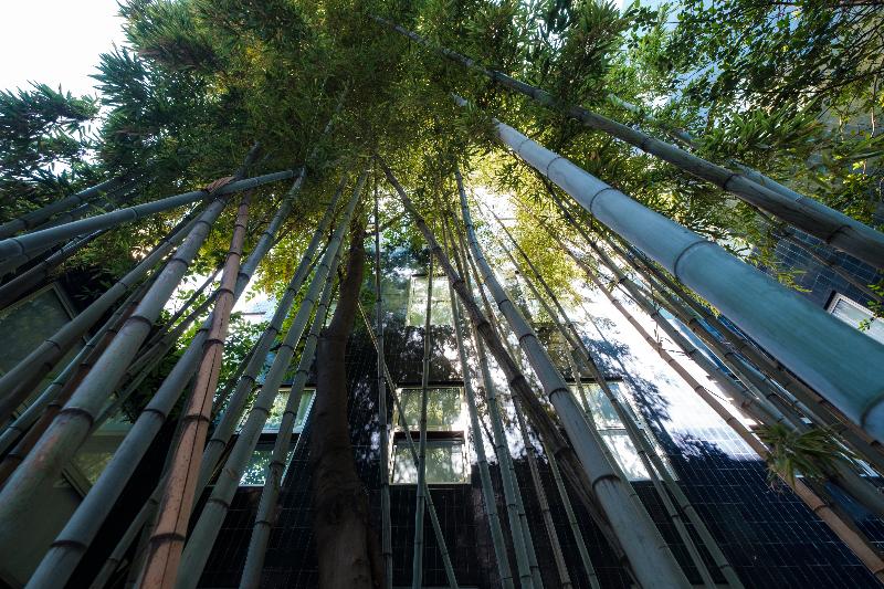 فندق Residence Sacchi Apart