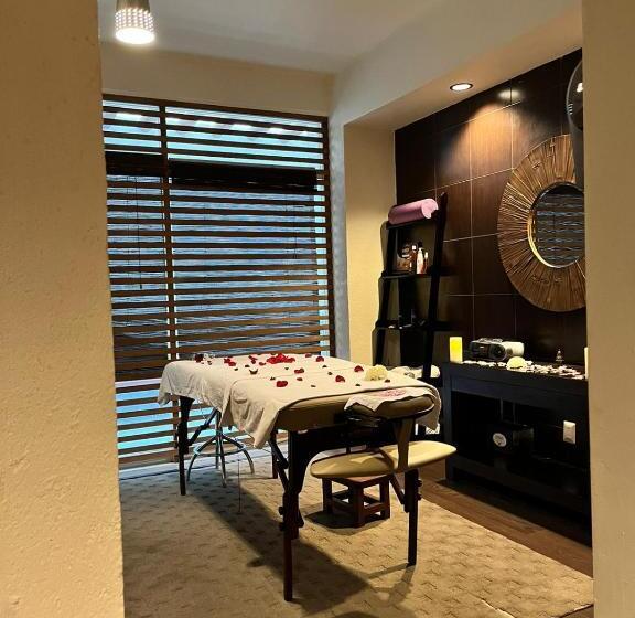 فندق San Carlos Tequisquiapan