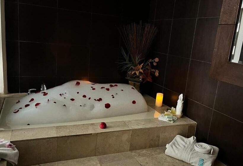 فندق San Carlos Tequisquiapan