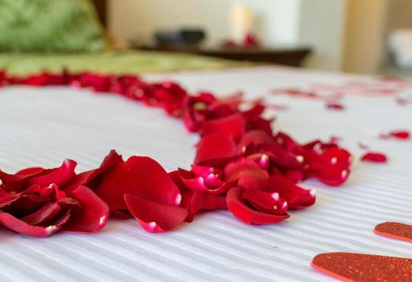 فندق San Carlos Tequisquiapan