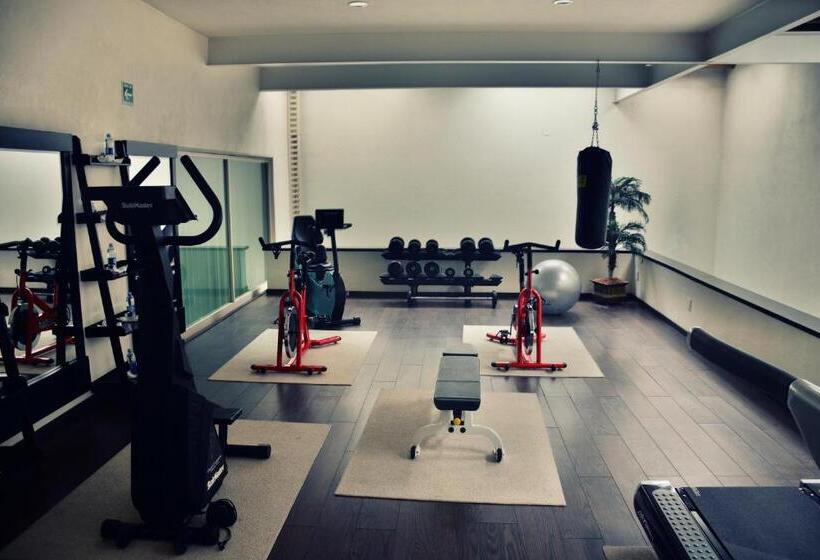 فندق San Carlos Tequisquiapan