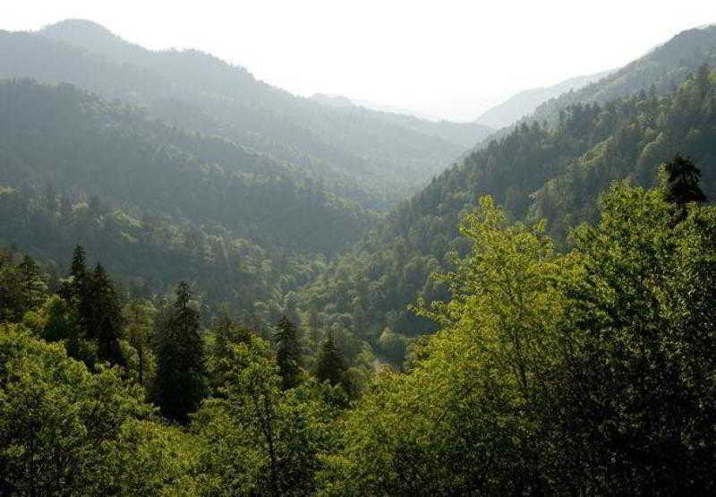 هتل Springhill Suites Pigeon Forge