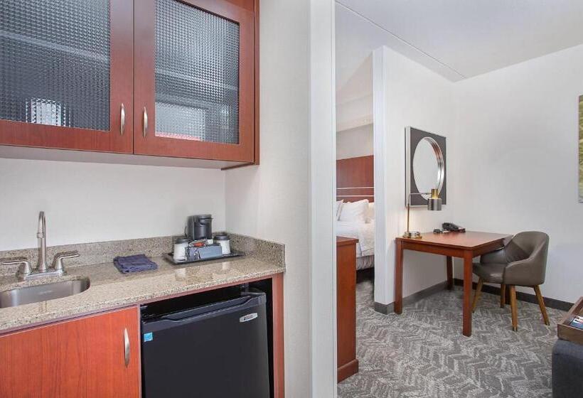 هتل Springhill Suites Pigeon Forge