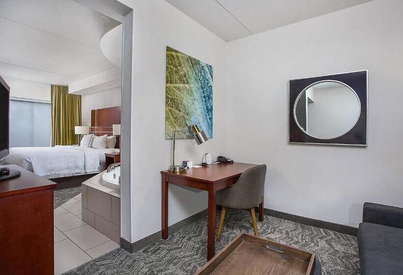 هتل Springhill Suites Pigeon Forge