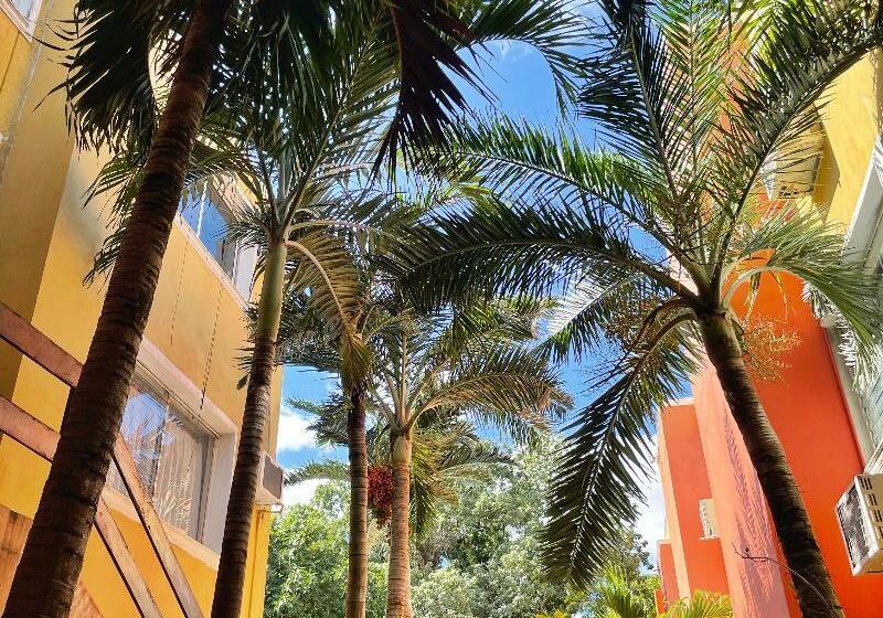 酒店 Suites Cancun Center