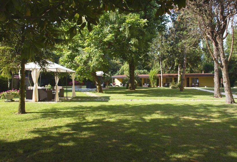 Отель Viktoria Palace