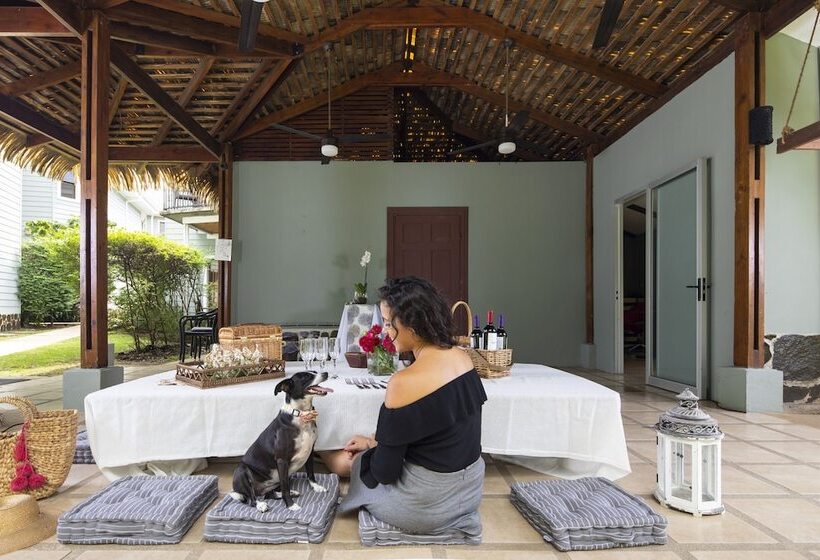 בית מלון כפרי Villa Los Candiles