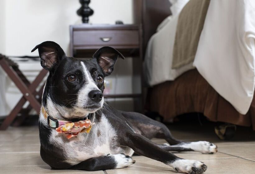 בית מלון כפרי Villa Los Candiles