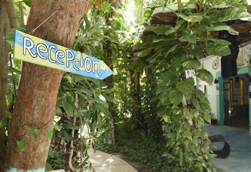 酒店 Villas Tiburon