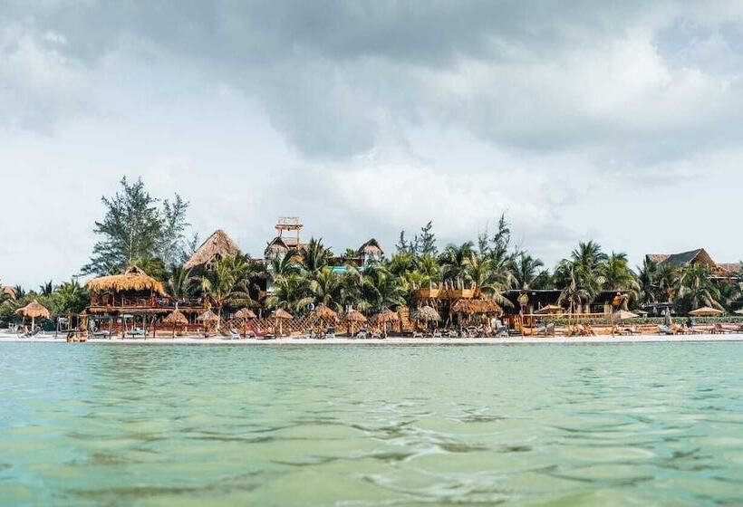 酒店 Villas Tiburon