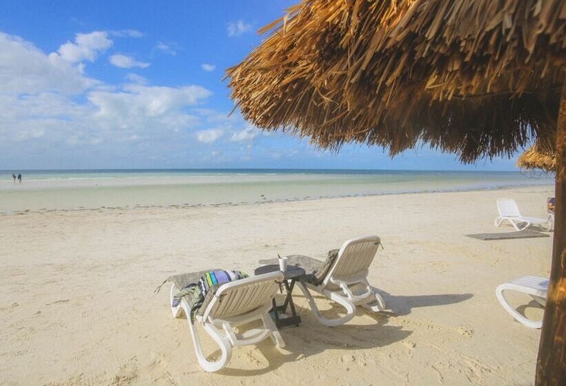 酒店 Villas Tiburon