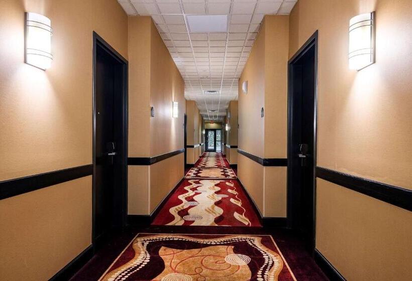 호텔 Wingate By Wyndham State Arena Raleigh/cary