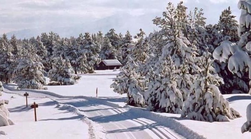 Мотель Hostal Ruso Sc