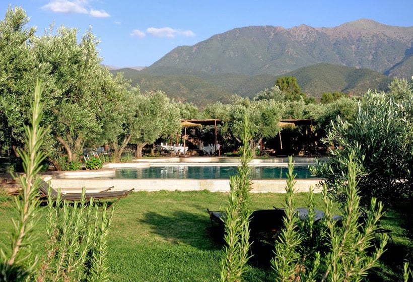 Oliveraie De Marigha