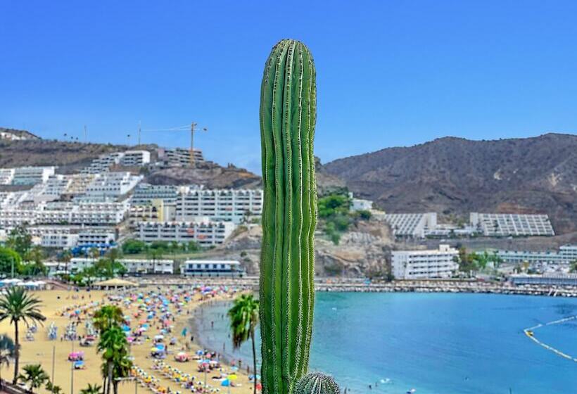 Punta Del Rey   Adults Only