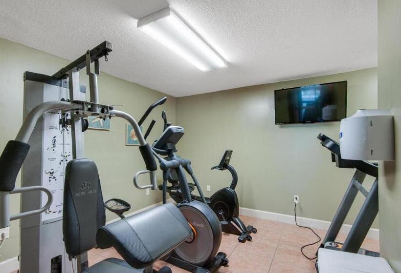 منتجع Twin Palms 1401