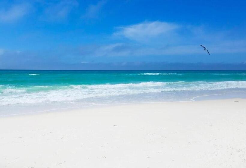 منتجع Twin Palms 1401