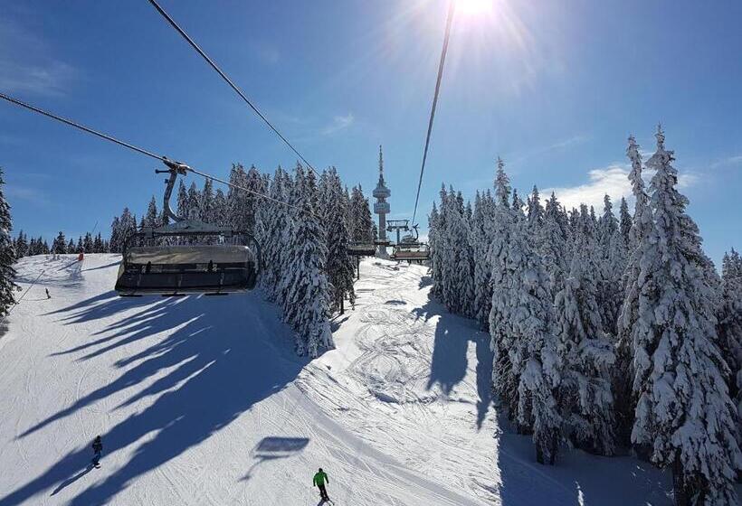 فندق Orpheus Casino And Spa