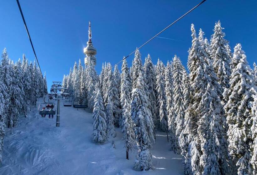 فندق Orpheus Casino And Spa