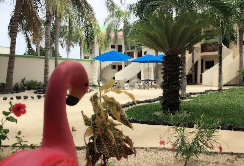 Villas Coco Resort All Suites